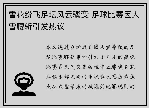 雪花纷飞足坛风云骤变 足球比赛因大雪腰斩引发热议
