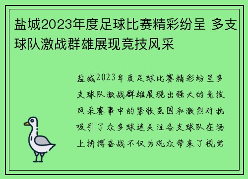 盐城2023年度足球比赛精彩纷呈 多支球队激战群雄展现竞技风采