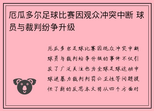 厄瓜多尔足球比赛因观众冲突中断 球员与裁判纷争升级