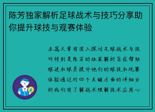 陈芳独家解析足球战术与技巧分享助你提升球技与观赛体验